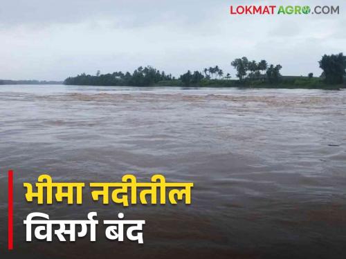 Ujnai Dam : The discharge from Ujnai into Bhima river is closed after almost a month | Ujnai Dam : उजनीतून भीमा नदीत सोडण्यात आलेला विसर्ग तब्बल एक महिन्यानंतर बंद