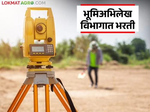 Big recruitment in Land Records Department; Government approval for recruitment of 'these' 700 posts | भूमिअभिलेख विभागात मोठी भरती; 'ह्या' ७०० पदांच्या भरतीसाठी शासनाची मान्यता