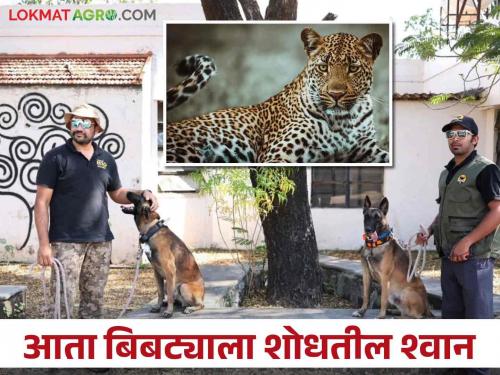 India's first wildlife detection dog unit to track down leopards | बिबट्याला शोधणारं भारतातील पाहिलं वाइल्ड लाइफ डिटेक्शन डॉग युनिट