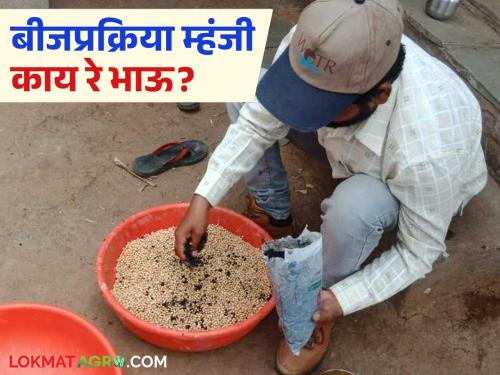 Latest news Bij Prakriya farmers experiment on seeds before sowing | Bij Prakriya : शेतकरी दादा! पेरणीच्या आधी बियाण्यांवर 'हा' प्रयोग कराच, कारण.... 