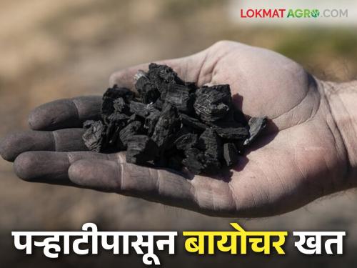 Latest News Agriculture News Farmer makes biochar fertilizer from Parhati see details | Biochar Production : शेतकऱ्याने पऱ्हाटीपासून बनविले बायोचर खत, काय आहेत फायदे? वाचा सविस्तर