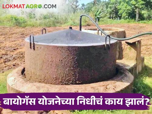 Latest news subsidy for biogas scheme was not received from the central government | Biogas Scheme : बायोगॅस योजनेतून शेतीला सेंद्रिय खताची जोड, पण योजनेच्या अनुदानाबाबत....