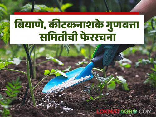Latest News Taluka-level committee to check seeds, pesticides, you can also complain | बियाणे, कीटकनाशके तपासणीसाठी तालुकास्तरावर समिती, तुम्हालाही तक्रार करता येईल
