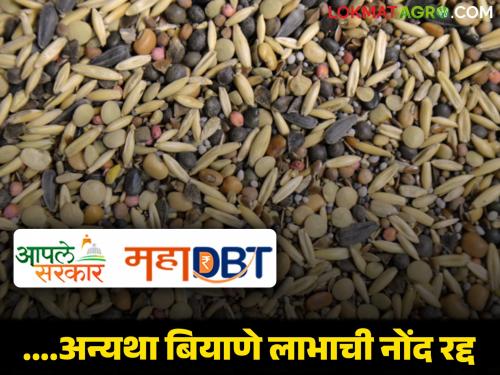 Latest news Mahadbt Biyane Scheme Get seeds within five days under seed scheme | बियाण्यासाठी अर्ज केलाय? 'ही' चूक करू नका, अन्यथा लाभाची नोंद होईल रद्द