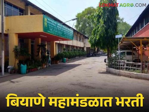 Latest News National Seed Corporation Recruitment for 188 Vacancies, Know Complete Recruitment Process   | Biyane Mandal Bharti 2024 : राष्ट्रीय बियाणे महामंडळात 188 जागांसाठी भरती, जाणून घ्या संपूर्ण भरती प्रक्रिया  