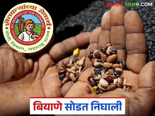 latest News MahaDBT seeds scheme released, beneficiary list released, read in detail | Mahadbt Biyane : महाडीबीटीची बियाणे सोडत निघाली, लाभार्थी यादी आली, वाचा सविस्तर 