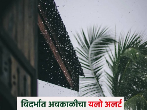 Rain alert today: Unseasonal rain with hail forecast in Vidarbha today, rest of the state.. | Rain alert today: आज विदर्भात अवकाळी पावसासह गारपीटीचा अंदाज,उर्वरित राज्यात..