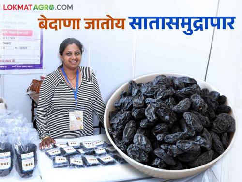 Success story of entrepreneur Sarika from Yelavi village women self help group raisins export | येळावीच्या उद्योजक सारिका यांची यशकथा बचत गटाचा बेदाणा पाठविला सातासमुद्रापार