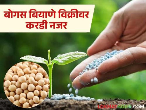 Kharif season: latest news District level grievance redressal cell operational for farmers; 'these' facility mandatory at sales centres Read in detail | Kharif season : शेतकऱ्यांसाठी जिल्हास्तरीय तक्रार निवारण कक्ष कार्यान्वित; विक्री केंद्रांवर 'या' सुविधा अनिवार्य वाचा सविस्तर