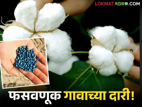 latest news HTBT Seeds: Sale of banned BT under the name of a renowned company; Big fraud with farmers | HTBT Seeds : नामांकित कंपनीच्या नावाखाली प्रतिबंधित बीटीची विक्री; शेतकऱ्यांची मोठी फसवणूक