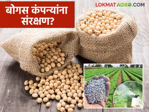 latest news Bogus agricultural companies have increased their dominance; Is the government's decision compromising quality? Read in detail | बोगस कृषी कंपन्यांचे वर्चस्व वाढले; शासनाच्या निर्णयाने गुणवत्तेवर गदा? वाचा सविस्तर