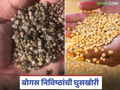 Infiltration of bogus seeds and fertilizers from other neighbor states; What is the case? Know in detail | परराज्यातून बोगस बियाणे व खतांची घुसखोरी; काय आहे प्रकरण? जाणून घ्या सविस्तर