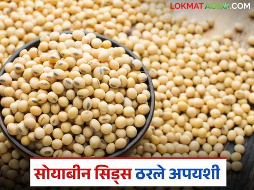 latest news Soybean Biyane Case: Farmers will get justice; Seeds failed, now they will get compensation Read in detail | Soybean Biyane Case: शेतकऱ्यांना मिळला न्याय; बियाणे फसले, आता भरपाई मिळणार वाचा सविस्तर