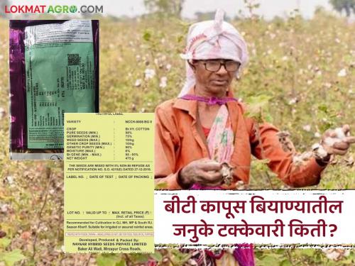 Latest News Htbt Cotton seed Gene percentage in Bt cotton seeds is confusing, read in detail | BT Cotton Seed : बीटी कापूस बियाण्यातील जनुके टक्केवारी संभ्रमित करणारी, वाचा सविस्तर 