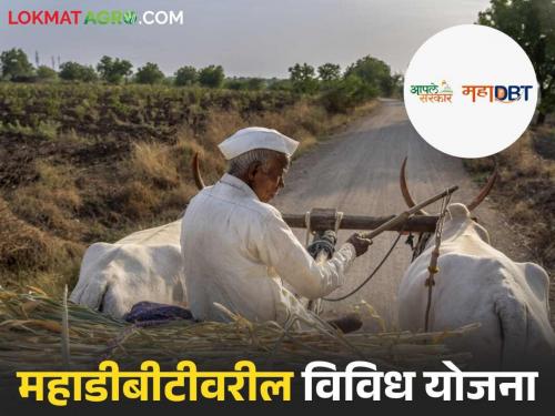 Latest News Complete list of schemes implemented through MahaDBT, see details here | महाडीबीटीद्वारे राबविल्या जाणाऱ्या योजनांची संपूर्ण यादी, इथे पहा सविस्तर 