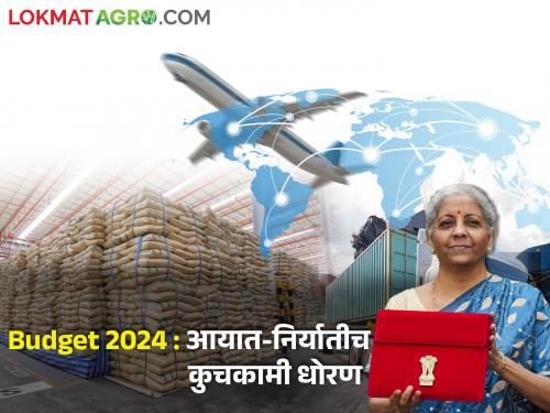 Cheap for the eater, but nothing for the grower, wrong import export policy! | Budget 2024 : खाणाऱ्याला स्वस्त, मात्र पिकवणाऱ्याला काहीच नाही, आयात-निर्यात धोरण चुकीचं! 