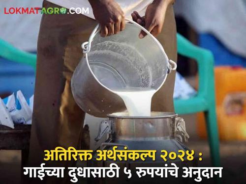 Latest News Rs 5 per liter subsidy on cow milk from July 1 says says in maharashtra budget 2024 | Maharashtra Budget 2024 : गाईच्या दुधाला प्रतिलिटर 5 रुपयांचे अनुदान, एक जुलैपासून अंमलबजावणी 