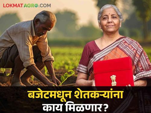 Latest News Union Budget 2024 Five major announcements for agriculture in union budget, know in detail | Union Budget 2024 : अर्थसंकल्पातून शेतीसाठी पाच मोठ्या घोषणा होण्याची शक्यता, जाणून घ्या सविस्तर