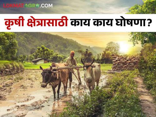 Latest News Union Budget 2024 nirmala sitaraman What will farmers get from the Union Budget 2024 , know in detail | Union Budget 2024 : केंद्रीय अर्थसंकल्पातून शेतकऱ्यांना काय मिळालं? जाणून घ्या सविस्तर 