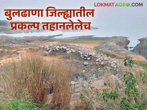 latest news Buldhana Dam Water : Waiting for rain in the areas below the ghats; rivers and streams are dry, projects are also dry! | Buldhana Dam Water : घाटाखालच्या भागांत पावसाची प्रतीक्षा; नदी-नाले कोरडे, प्रकल्पही कोरडेच!