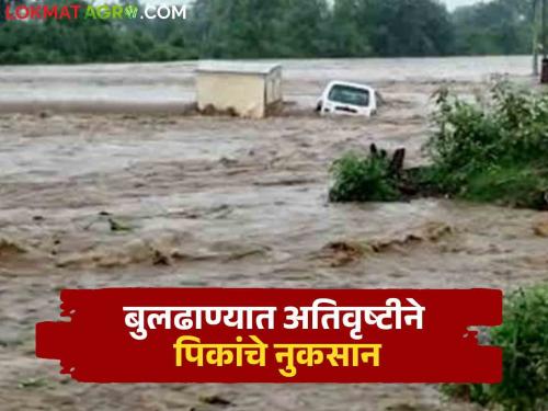 Heavy rain in 10 mandals in two days; 28 Damage to village crops | दोन दिवसात १० मंडळात अतिवृष्टी; २८ गावातील पिकांचे नुकसान