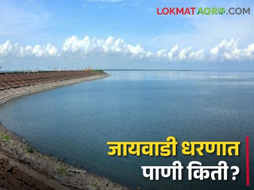 Jayakwadi Dam: Water storage in Jayakwadi Dam at 4.5 TMC! , a deficit of 38.06 percent over the previous year | Jayakwadi Dam: जायकवाडी धरणात पाणीसाठा ४.५ टीएमसीवर! , मागील वर्षाच्या तुलनेत ३८.०६ टक्क्यांची तूट