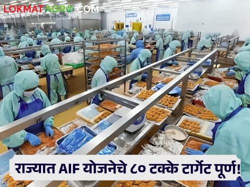 AIF How many businesses have benefited from the Agricultural Infrastructure Fund Scheme so far? How much funding is allocated? | AIF : कृषी पायाभूत सुविधा निधी योजनेचा आत्तापर्यंत किती व्यवसायांना मिळाला लाभ? किती निधीचे वाटप?