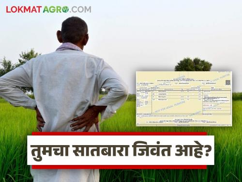 Live Satbara campaign! List of deceased will be published after reciting Chavadi | Satbara : जिवंत सातबारा मोहीम! चावडी वाचन करून मृतांची यादी प्रसिद्ध करण्यात येणार
