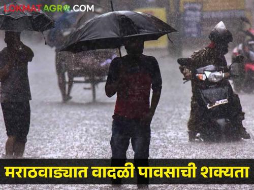 Marathwada Rain update: Thunderstorm likely in these districts of Marathwada including Nanded, Latur | Marathwada Rain update: नांदेड, लातूरसह मराठवाड्यातील या जिल्ह्यांमध्ये वादळी पावसाची शक्यता