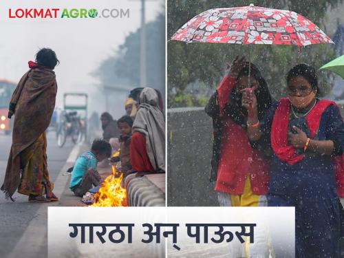 Unseasonal in winter! Where did it rain in the state? | हिवाळ्यात अवकाळी! राज्यात कुठे कुठे झाला पाऊस?