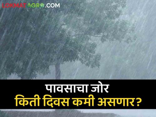 Maharashtra Weather Updates : Why has the rain subsided? When will rain start again in the state? | Maharashtra Weather Updates : पावसाचा जोर का ओसरला? राज्यात पुन्हा कधी सुरू होणार पाऊस?