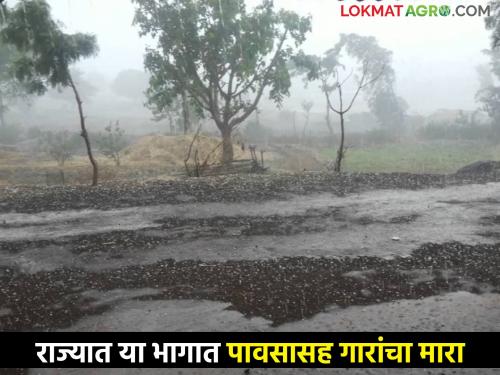 Hailstorm: Hailstorm with rain in these parts of the state including Vidarbha, know.. | Hailstorm: राज्यात विदर्भासह या भागात पावसासह गारांचा मारा, जाणून घ्या..