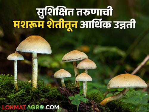 While looking for a job, this young man started mushroom farming, getting good profit.. | नोकरीच्या शोधात असताना या तरूणाने केली मशरूम शेतीला सुरुवात, मिळतोय चांगला नफा..