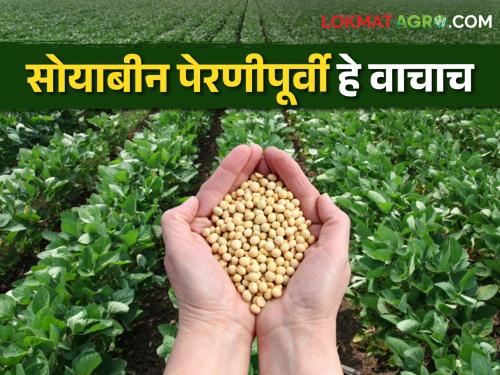 Planting soybean seeds? Read what the agriculture department has said before sowing.. | सोयाबीन बियाणं पेरताय? पेरणीपूर्वी कृषी विभागानं काय सांगितलंय वाचा..