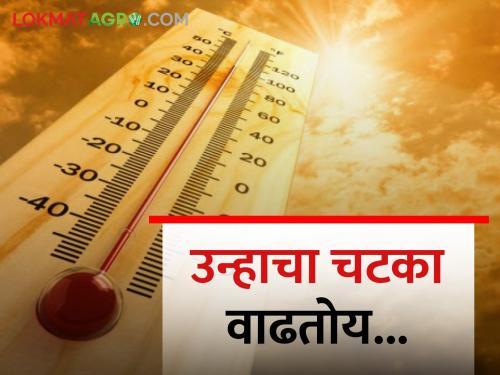 Temperature: What was the temperature in which part of the state today? Find out.. | Temperature: राज्यात आज कोणत्या भागात किती होते तापमान? जाणून घ्या..