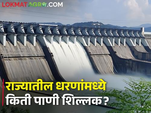 Dam Water storage: Know how much water is left in the dams in the state today | Dam Water storage: राज्यातील धरणसमुहांमध्ये आज एवढा पाणीसाठा शिल्लक, जाणून घ्या