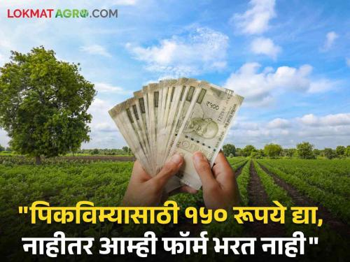 Crop Insurance farmers csc centers 150 rs application form agriculture department | Crop Insurance : पिकविमा अर्जासाठी शेतकऱ्यांची अडवणूक; १५० रूपयांशिवाय अर्ज भरण्यास नकार