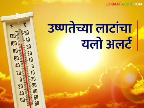 Heat wave:The Met department has issued a yellow alert for heat waves in these areas | heat wave: हवामान विभागाने या भागांना दिला उष्णतेच्या लाटांचा यलो अलर्ट