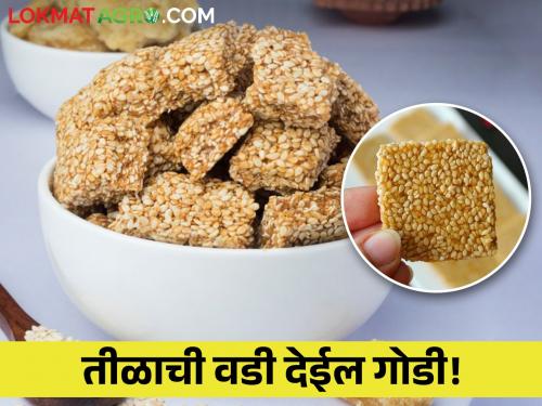 Know the properties of one 100 gram loaf of sesame seeds. | तिळाच्या एका १०० ग्रॅमच्या वडीत आहेत एवढे गुणधर्म, जाणून घ्या..