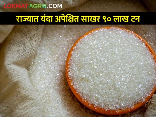 Expected to produce 90 lakh tonnes of sugar in Maharashtra, what is the status of other states? | महाराष्ट्रात ९० लाख टन साखर उत्पादन अपेक्षित, इतर राज्यांची काय स्थिती?