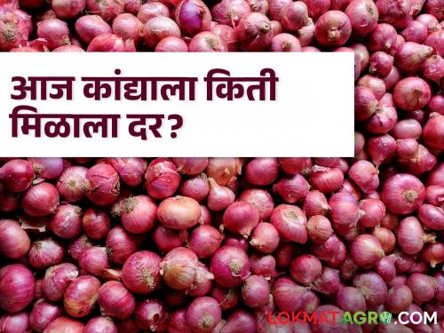 Maharashtra Onion Rates: What is the status of onion rates in the state? Where did you get the rate today? | Maharashtra Onion Rates : राज्यात कांद्याच्या दराची काय आहे स्थिती? आज कुठे किती मिळाला दर?