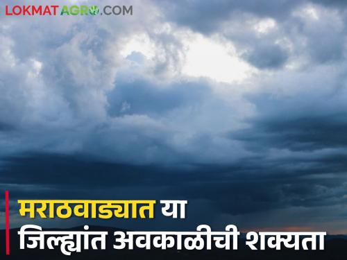 In these districts of Marathwada, there is a chance of rain with thunder, hailstorm at isolated places... | मराठवाड्यातील या जिल्ह्यांत मेघगर्जनेसह पावसाची शक्यता, तूरळक ठिकाणी गारपीटही...