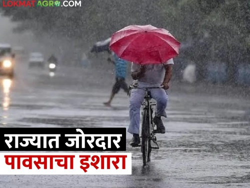 Rain Alert: Heavy rain alert with lightning in the Maharashtra, what is the prediction of the Meteorological Department? | Rain Alert: राज्यात विजांच्या कडकडाटासह जोरदार पावसाचा अलर्ट, हवमान विभागाचा अंदाज काय?