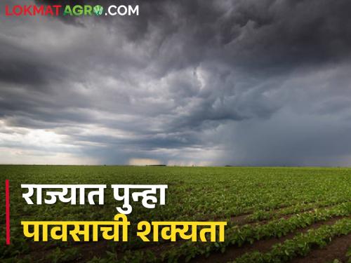 Chance of light rain with thunderstorm today in Latur, Beed Dharashiv | लातूर, बीड धाराशिवसह या जिल्ह्यांमध्ये वादळीवाऱ्यासह हलक्या पावसाची शक्यता