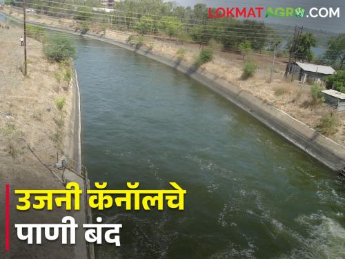 Water shut off from Ujani through the canal, how much water is left in the dam? | उजनीतून कालव्याद्वारे पाणी बंद, धरणात उरला किती पाणीसाठा?