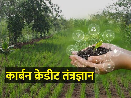 Carbon credit, block chain technology for the first time in the country | देशात प्रथमच कार्बन क्रेडिट, ब्लॉक चेन तंत्रज्ञान