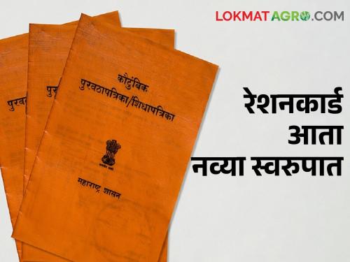 Paper ration card will become closed now; E-ration card will be available now | Ration Card कागदी रेशनकार्ड होणार आता इतिहासजमा; मिळणार आता ई-शिधापत्रिका