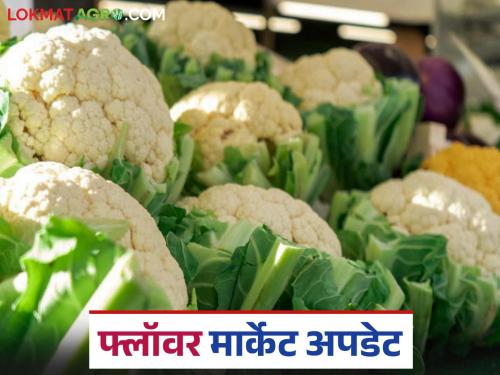 Flower Bajar Bhav : Record arrival of flowers at Manchar Market Committee; How are prices being obtained? | Flower Bajar Bhav : मंचर बाजार समितीत फ्लॉवरची विक्रमी आवक; कसा मिळतोय दर?