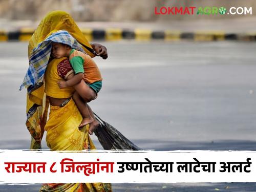 Heat wave: Heat wave warning in 8 districts of the state today, check if your district has.. | heat wave:आज राज्यात ८ जिल्ह्यात उष्णतेच्या लाटांचा इशारा, तुमचा जिल्हा आहे का तपासा..