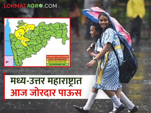 Rain: Chance of heavy rain in Central-North Maharashtra today, alert for these districts | Rain:मध्य-उत्तर महाराष्ट्रात आज जोरदार पावसाची शक्यता, या जिल्ह्यांना अलर्ट